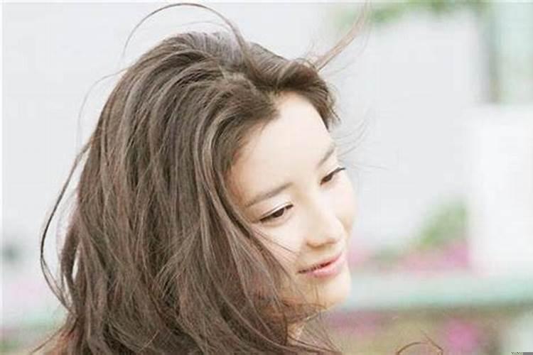 事业财运双收的生肖