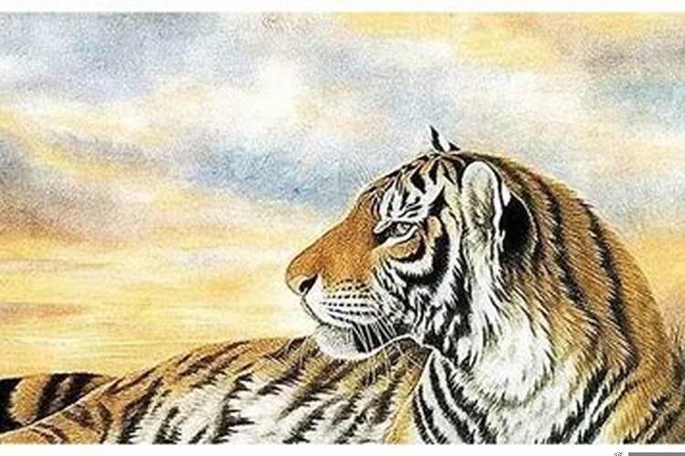 属虎的为啥不能做伴娘