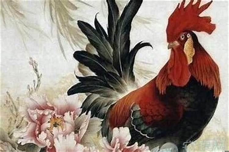 猴和鸡今年的运势