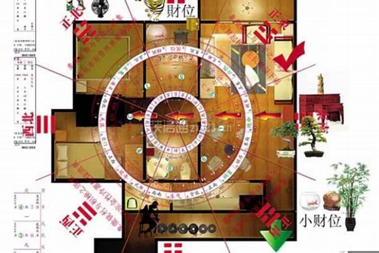家居风水财位放什么好
