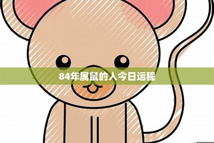 84年属鼠的人的运势及运程
