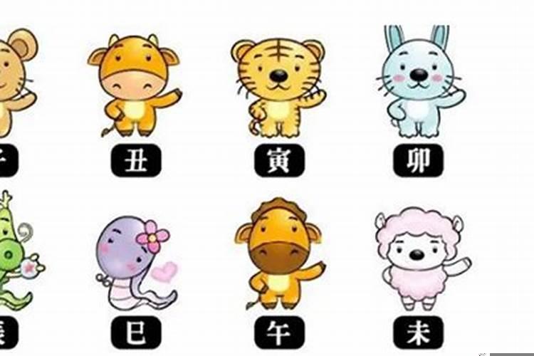 有才的生肖有哪几个
