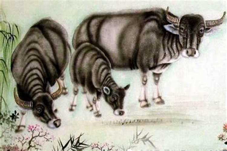 庭院景观石放哪个位置好