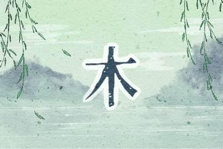 木旺的人适合做什么行业