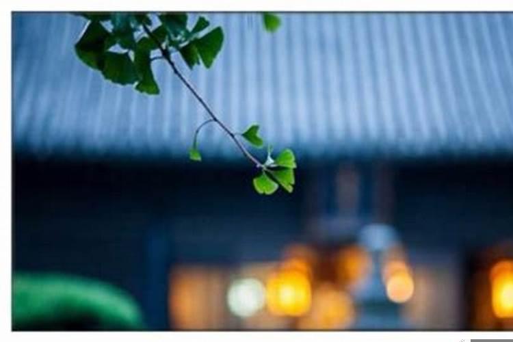 看不顺的人看顺