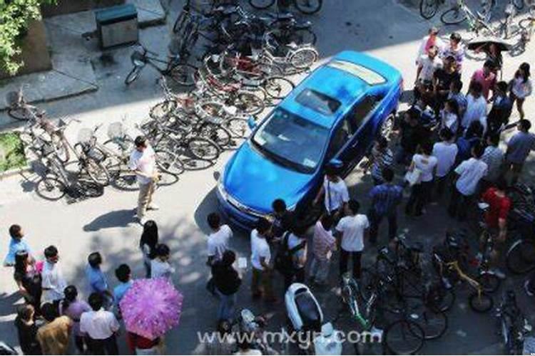 梦见在马圈里好不好