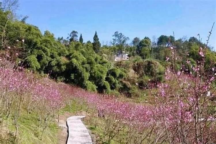 哈尔滨结婚选日子哪个大师好