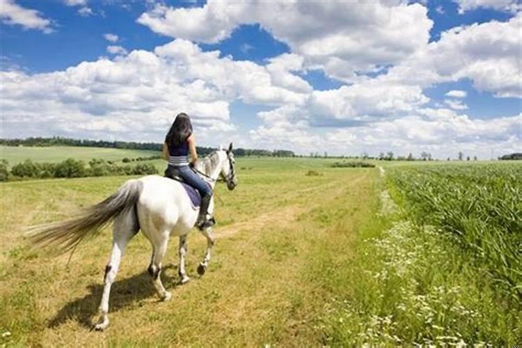 梦见在马圈里好不好