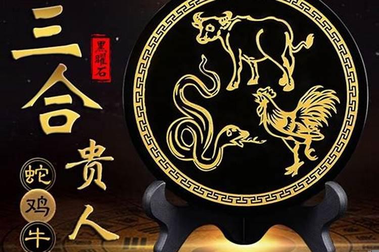 龙蛇鸡牛一家四口相合吗