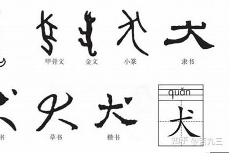 猪字为什么是反犬旁