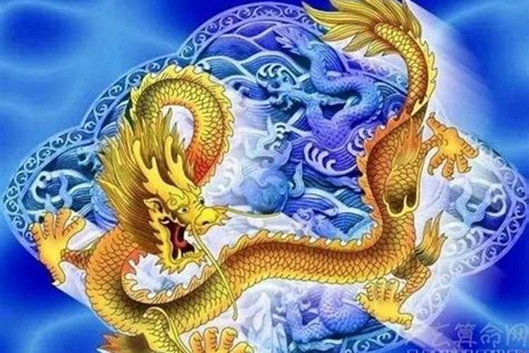 金龙年是哪一年出生