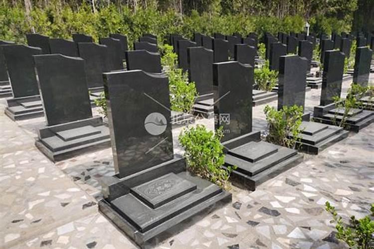 墓地间距规定