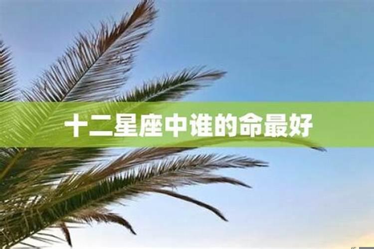 晚年福气好的星座