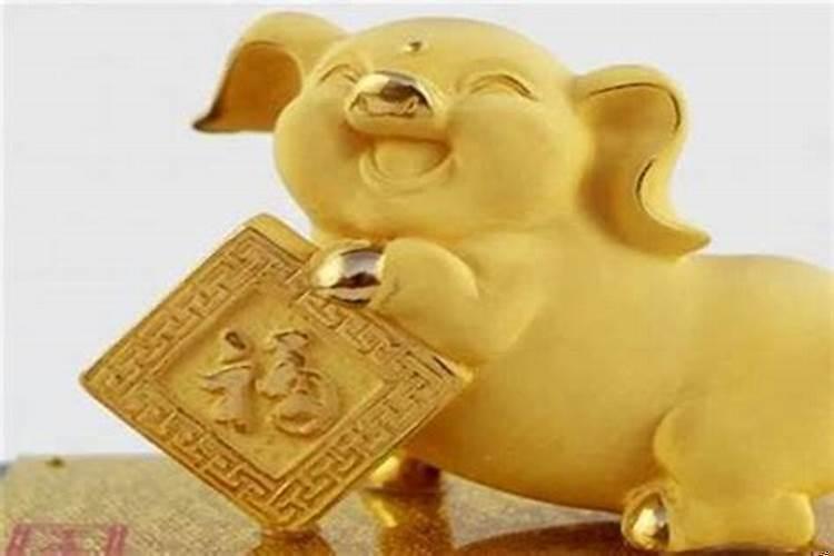 2007年为啥是金猪年