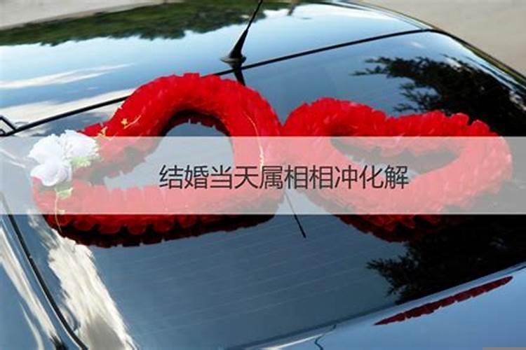 属相相冲能结婚吗