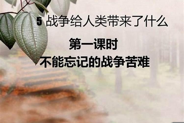 人对战争的影响