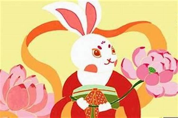 属兔人几点出生的最好命