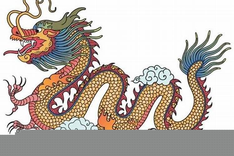 属龙的和属蛇的配不配