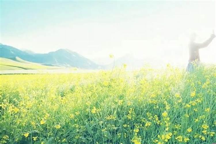 1990属马人2025年运势女