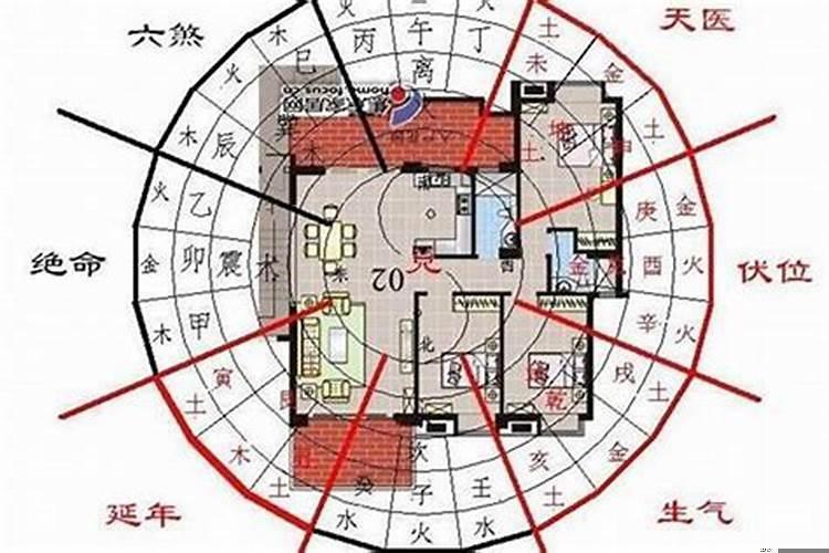 哪里可以学算命看风水