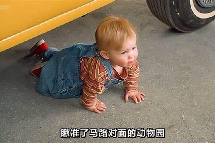 人命和天命区别在哪