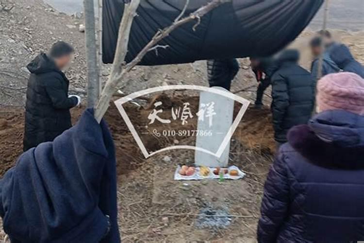 迁坟为什么要放萝卜