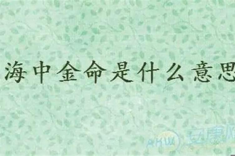 海中金命从事什么行业