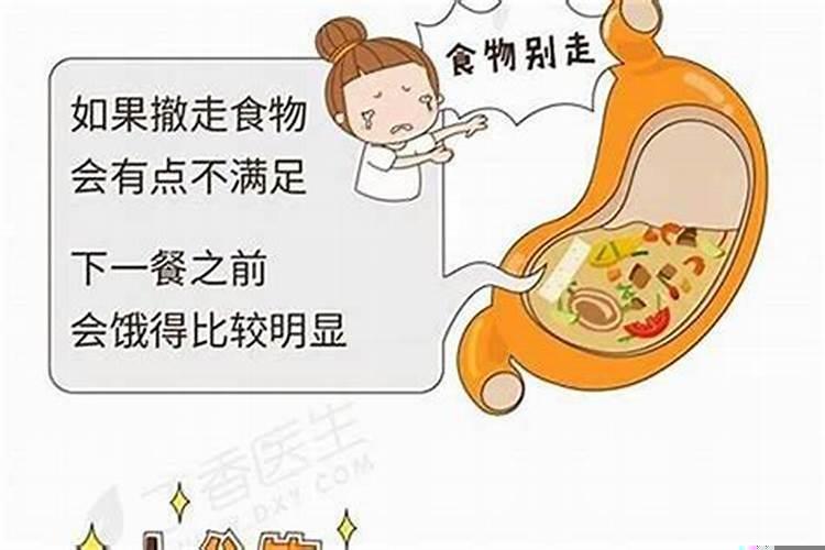 七分饱是什么意思