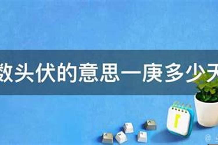 夏至三庚属头伏