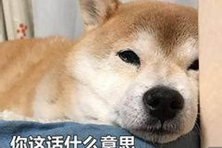 人命和天命区别在哪