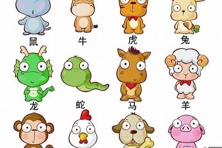 小学生是什么十二生肖