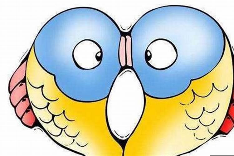 好吃懒做穷苦一生的星座女