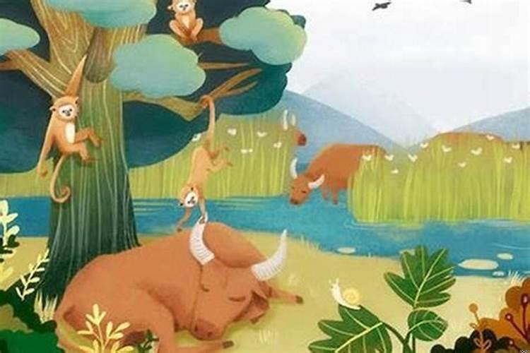 属猴男和属牛女合适吗