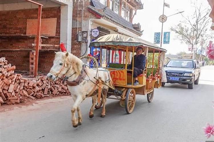 梦到和朋友一起坐马车