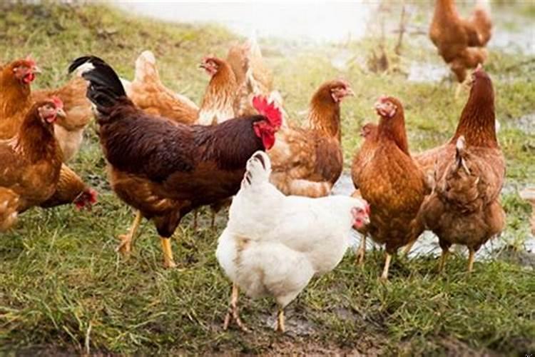 梦见坐火车没坐上去