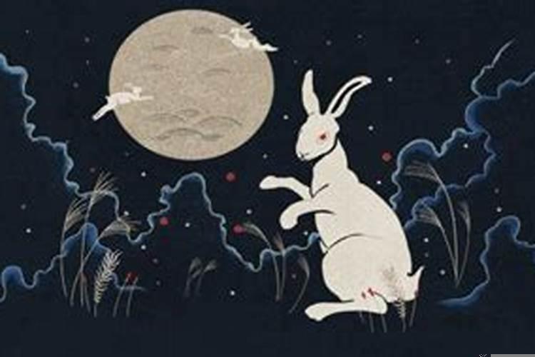 属兔的人的吉祥数字颜色