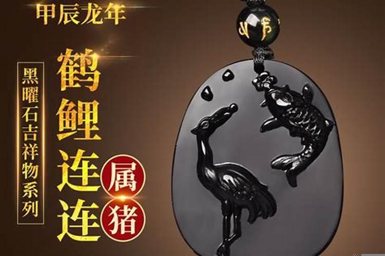 2020年猪的吉祥物是什么