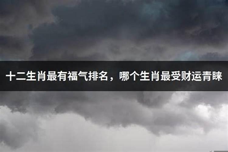 十二生肖哪个最有财运