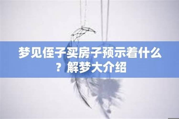 梦见买房子是什么预兆