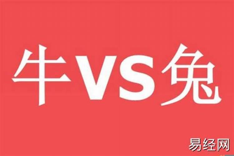 属兔女的和属牛男的婚配好不好