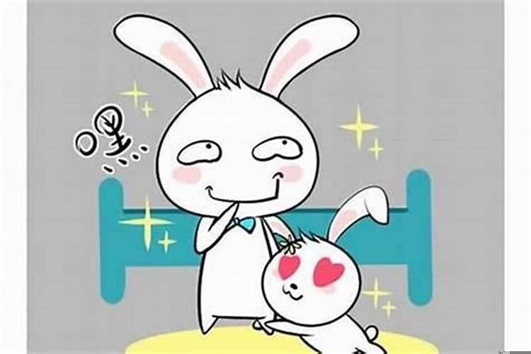 属兔的人今年感情怎么样