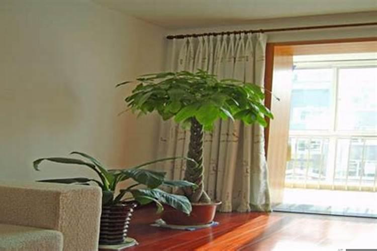 卧室怎么摆放风水好招财