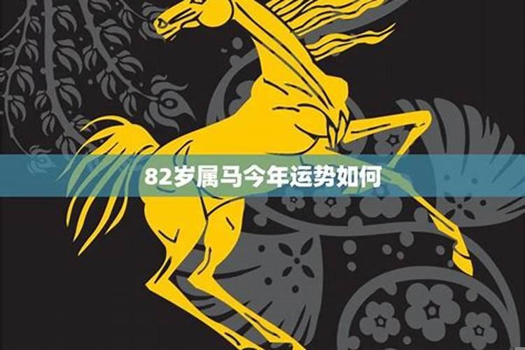 明年属马的财运和运气如何2021年