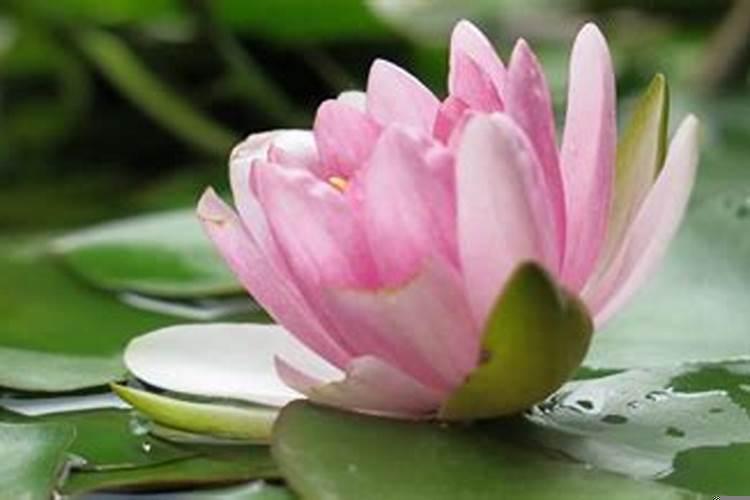 八字偏弱喜印比是什么意思