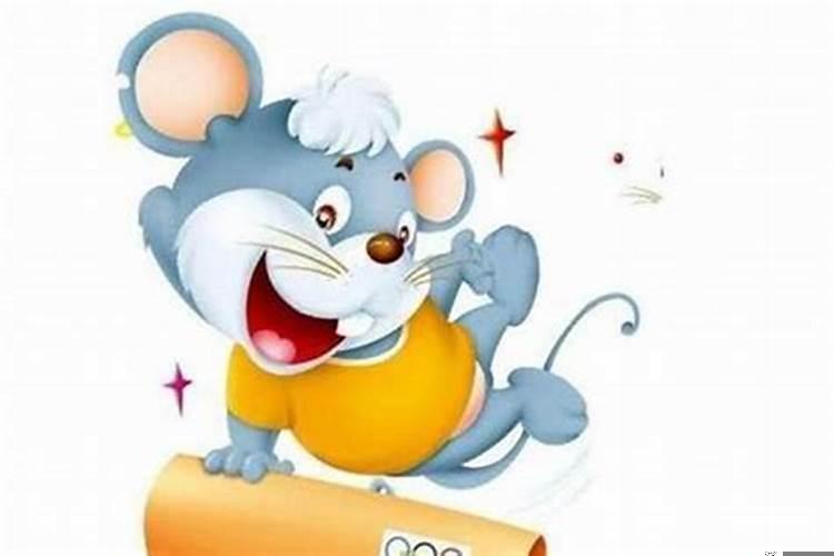 1984年属鼠是什么年命