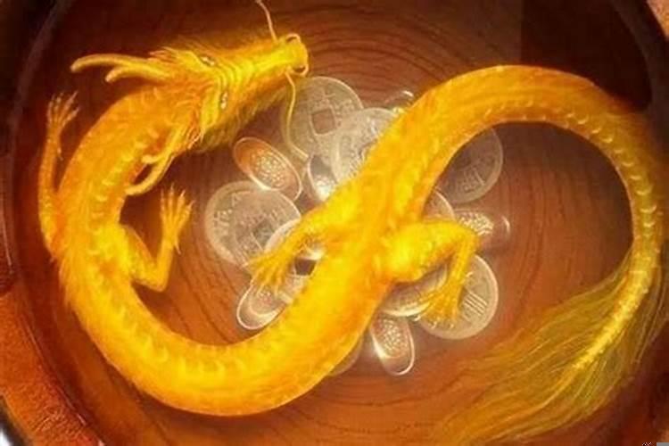 属龙的人做生意摆什么好