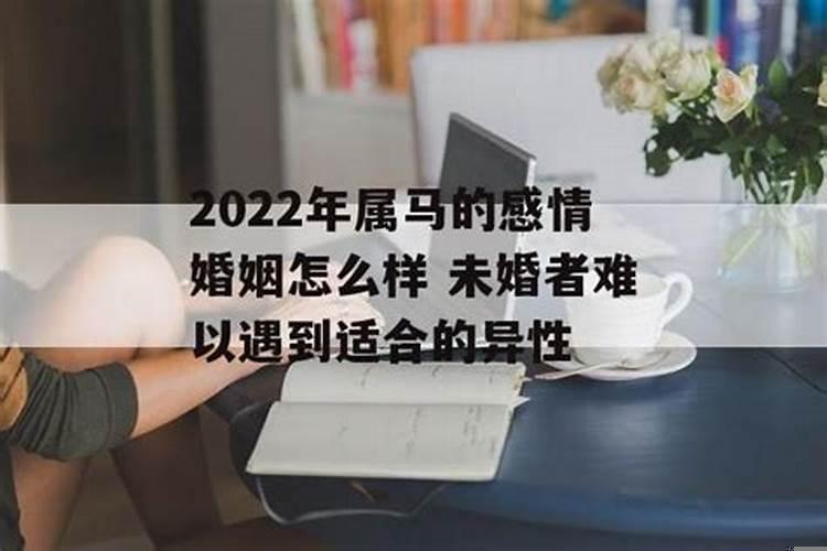 2022年属马的婚姻如何