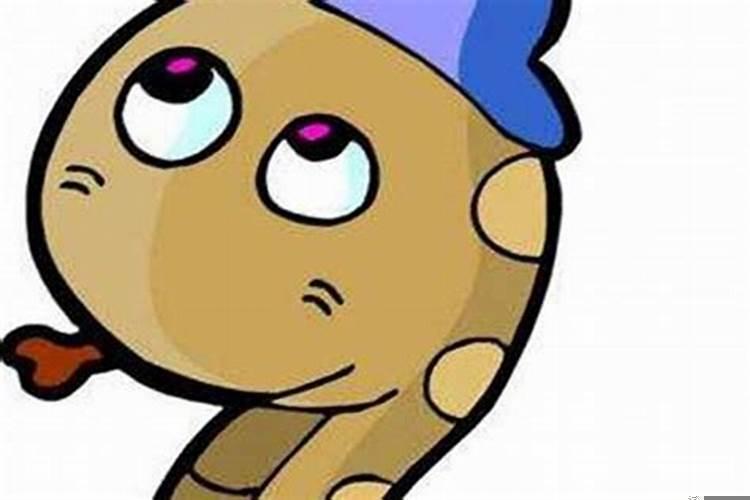 属蛇女很绝情但异性缘很好