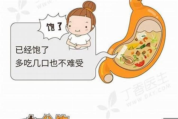 七分饱是什么意思