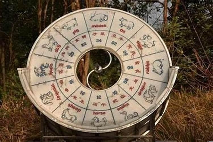 哪里可以学算命看风水